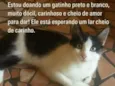 Nao tem um nome