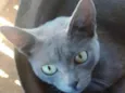 Júlio