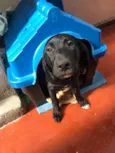Luck 