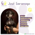José Saramago