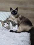 Lucky