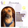 Princesa
