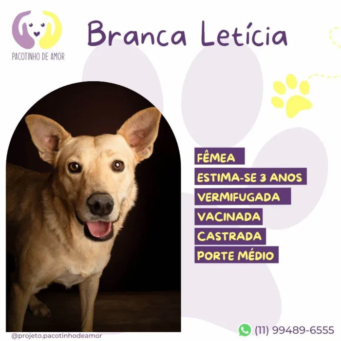 Cachorro ra a SRD-ViraLata idade 3 anos nome Branca Letícia 