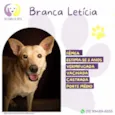 Branca Letícia