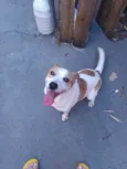 Lua