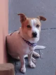 Lua