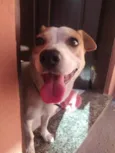Lua