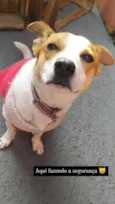 Lua