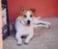 Lua