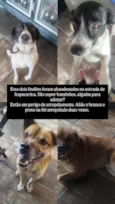 Cabeção