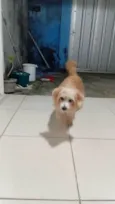 Mike