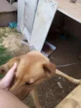 Lucky