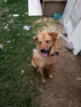 Lucky