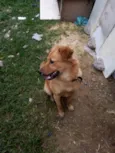Lucky 