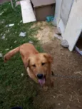 Lucky