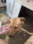 Lucky