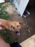 Lucky 