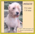 Meggie