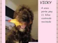 Vicky