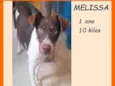 Melissa