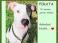 Pirata