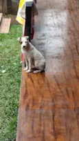 Lua