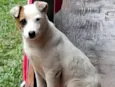 Lua