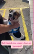 Lola 