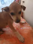 Não possui nome