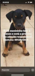 paçoquinha