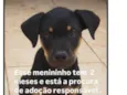 paçoquinha