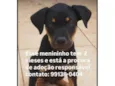 paçoquinha