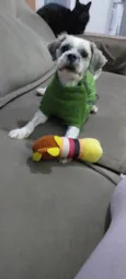 Max 