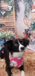Lupita
