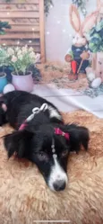 Lupita
