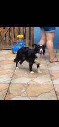Lupita