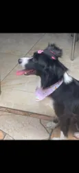 Lupita