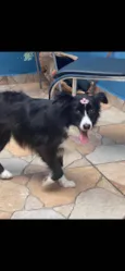 Lupita