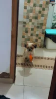 Oliver 