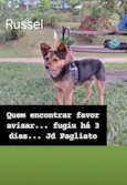 RUSSEL