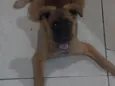 Amora ??