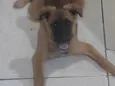 Amora ??