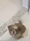 Joe
