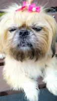 Lessie