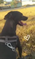 Nina