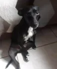 Nina