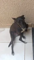 Nina