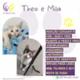 Theo e Mila