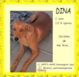 Dina