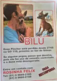 BILU
